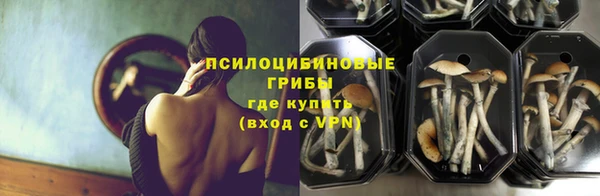 тгк Аркадак