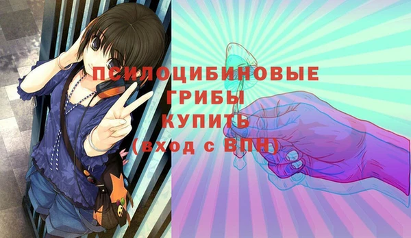 тгк Аркадак