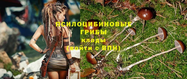 ПСИЛОЦИБИНОВЫЕ ГРИБЫ Киреевск