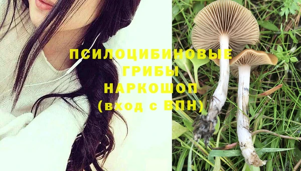 гидропоника Армянск